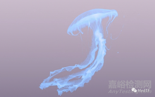 SEAL：水母型的瘤內(nèi)擾流裝置完成IDE臨床研究入組