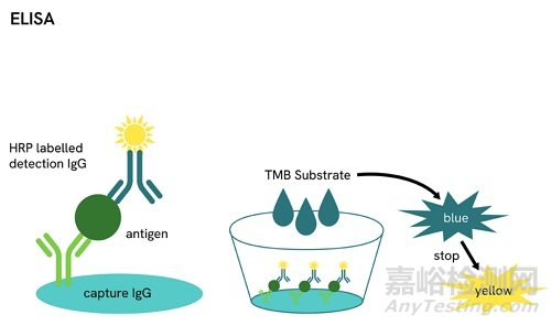 4類常見ELISA實(shí)驗(yàn)的技術(shù)原理