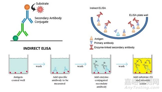 4類常見ELISA實(shí)驗(yàn)的技術(shù)原理