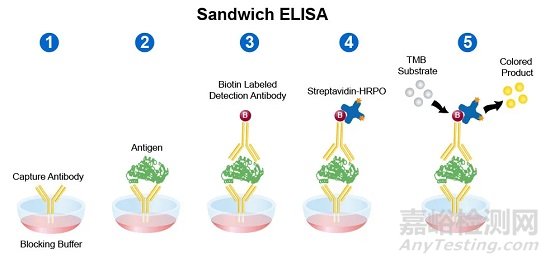 4類常見ELISA實(shí)驗(yàn)的技術(shù)原理