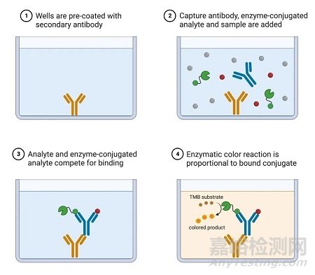 4類常見ELISA實(shí)驗(yàn)的技術(shù)原理