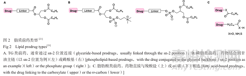 提升難溶性藥物口服吸收的脂質(zhì)遞送策略