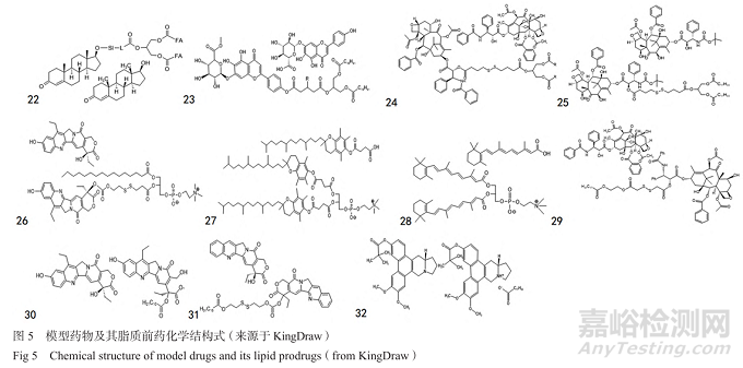 提升難溶性藥物口服吸收的脂質(zhì)遞送策略