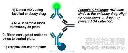 單抗藥物從非臨床向臨床的轉(zhuǎn)化案例