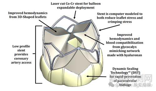 【創(chuàng)新醫(yī)械】用聚合物復(fù)刻“天然瓣膜”，告別動物組織依賴