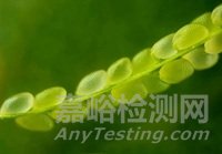 2025年中國十大科技新聞揭曉