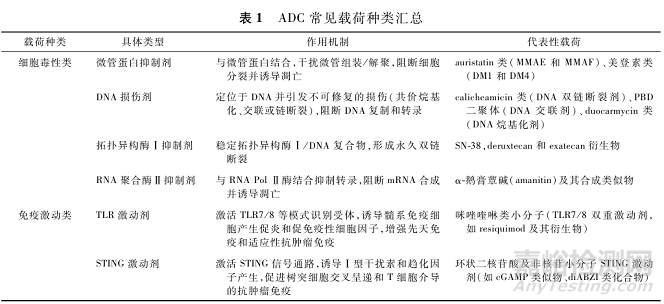 雙載荷抗體偶聯(lián)藥物研發(fā)進(jìn)展和藥學(xué)審評(píng)考慮