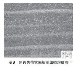 主齒輪軸齒斷裂失效分析案例