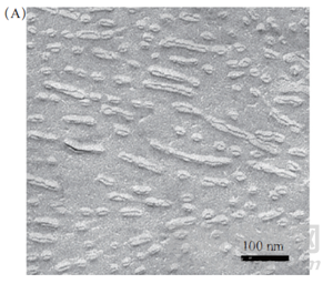 終端超濾非蒸餾注射用水的設(shè)計(jì)原理及其驗(yàn)證要點(diǎn)