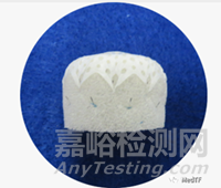 【創(chuàng)新醫(yī)械】CLAAS ：泡沫基質(zhì)左心耳封堵器