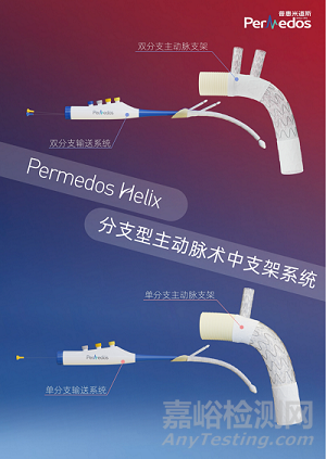 普惠生物創(chuàng)新醫(yī)械分支型主動脈術(shù)中支架系統(tǒng)技術(shù)解析