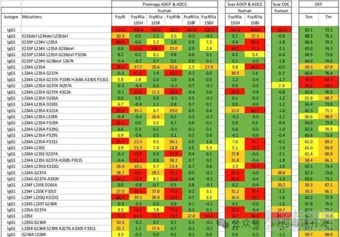 Fc效應(yīng)功能“完全沉默”的理想突變