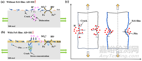 微生物加速高強(qiáng)鋼應(yīng)力腐蝕開(kāi)裂機(jī)理研究取得進(jìn)展
