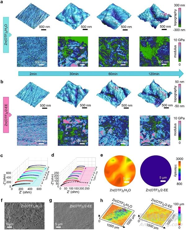 水系電解液中陰離子-陽離子相互作用助力長壽命安時級水系鋅金屬電池