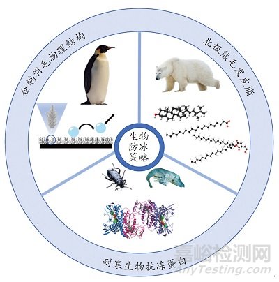 耐寒生物防冰策略及仿生防冰涂層研究進(jìn)展