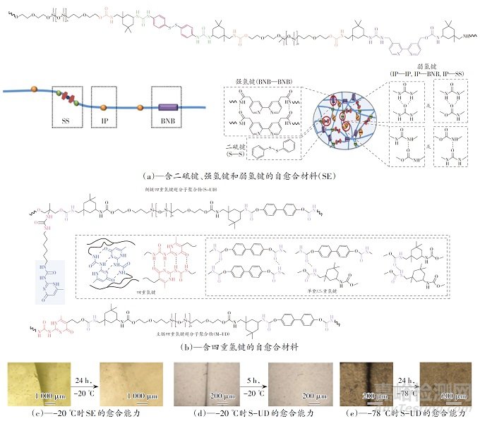 耐寒生物防冰策略及仿生防冰涂層研究進(jìn)展