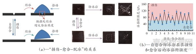 耐寒生物防冰策略及仿生防冰涂層研究進(jìn)展
