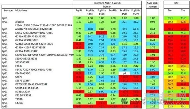 沒(méi)有增強(qiáng)Fc效應(yīng)功能的“理想突變”