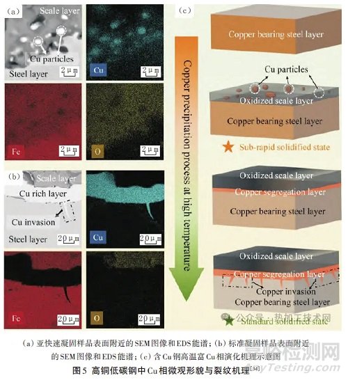殘余元素在鋼中演化與偏聚的研究進展