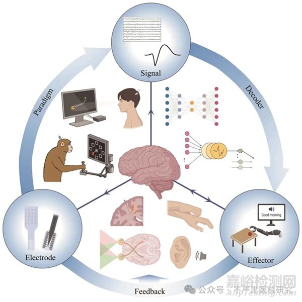 植入式腦機接口系統(tǒng)實現(xiàn)、臨床進展與技術(shù)挑戰(zhàn)