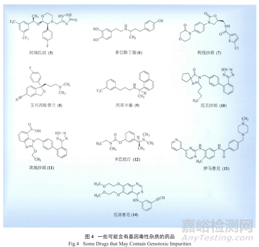 藥物研發(fā)中基因毒性雜質(zhì)的控制策略與方法探索進(jìn)展