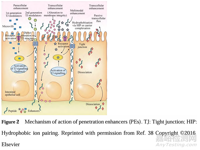 滲透增強(qiáng)劑在口服肽類藥物中的應(yīng)用