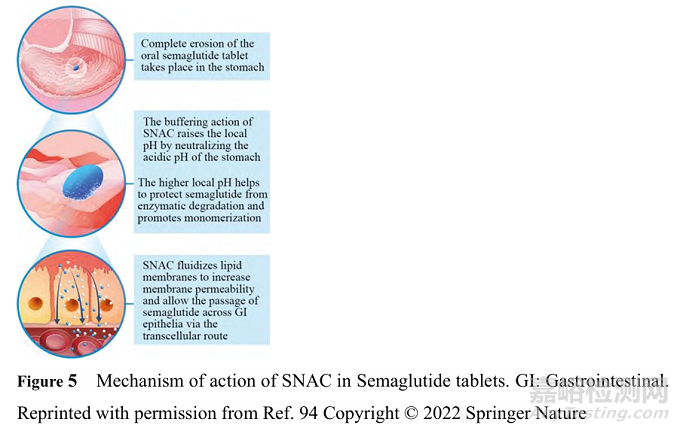 滲透增強(qiáng)劑在口服肽類藥物中的應(yīng)用