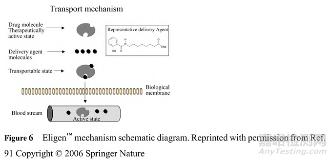 滲透增強(qiáng)劑在口服肽類藥物中的應(yīng)用