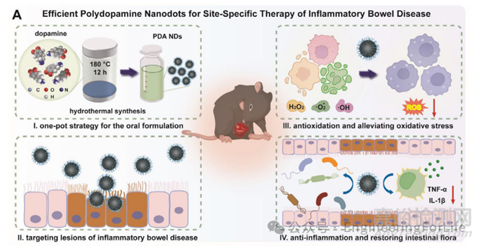 如何表征水凝膠的抗氧化性能？