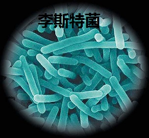 單核細(xì)胞增生李斯特菌，單增李斯特氏菌，李斯特氏菌