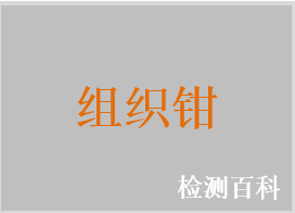 一次性使用無菌負壓吸引痔核鉗，一次性使用無菌荷包鉗