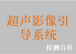 超聲影像引導(dǎo)系統(tǒng)