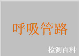 麻醉呼吸管路，抗靜電呼吸管路（黑色），重復(fù)性使用硅橡膠呼吸管路，一次性使用呼吸管路，加熱呼吸管路，氣體波紋連接管