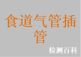 食道氣管雙腔插管