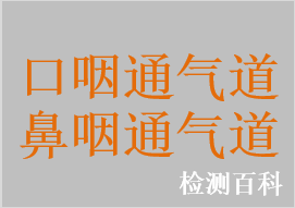 口咽通氣道，鼻咽通氣道