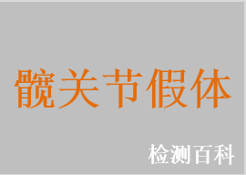 髖關(guān)節(jié)假體