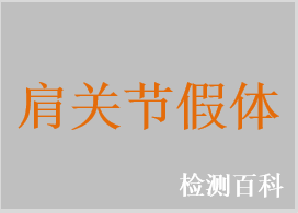 肩關(guān)節(jié)假體系統(tǒng)，肩關(guān)節(jié)假體，肩關(guān)節(jié)肩盂假體，肩關(guān)節(jié)肱骨假體